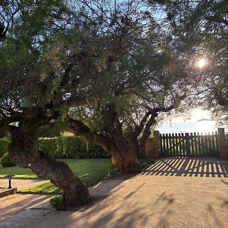 Cargèse Hotel Thalassa מראה חיצוני תמונה
