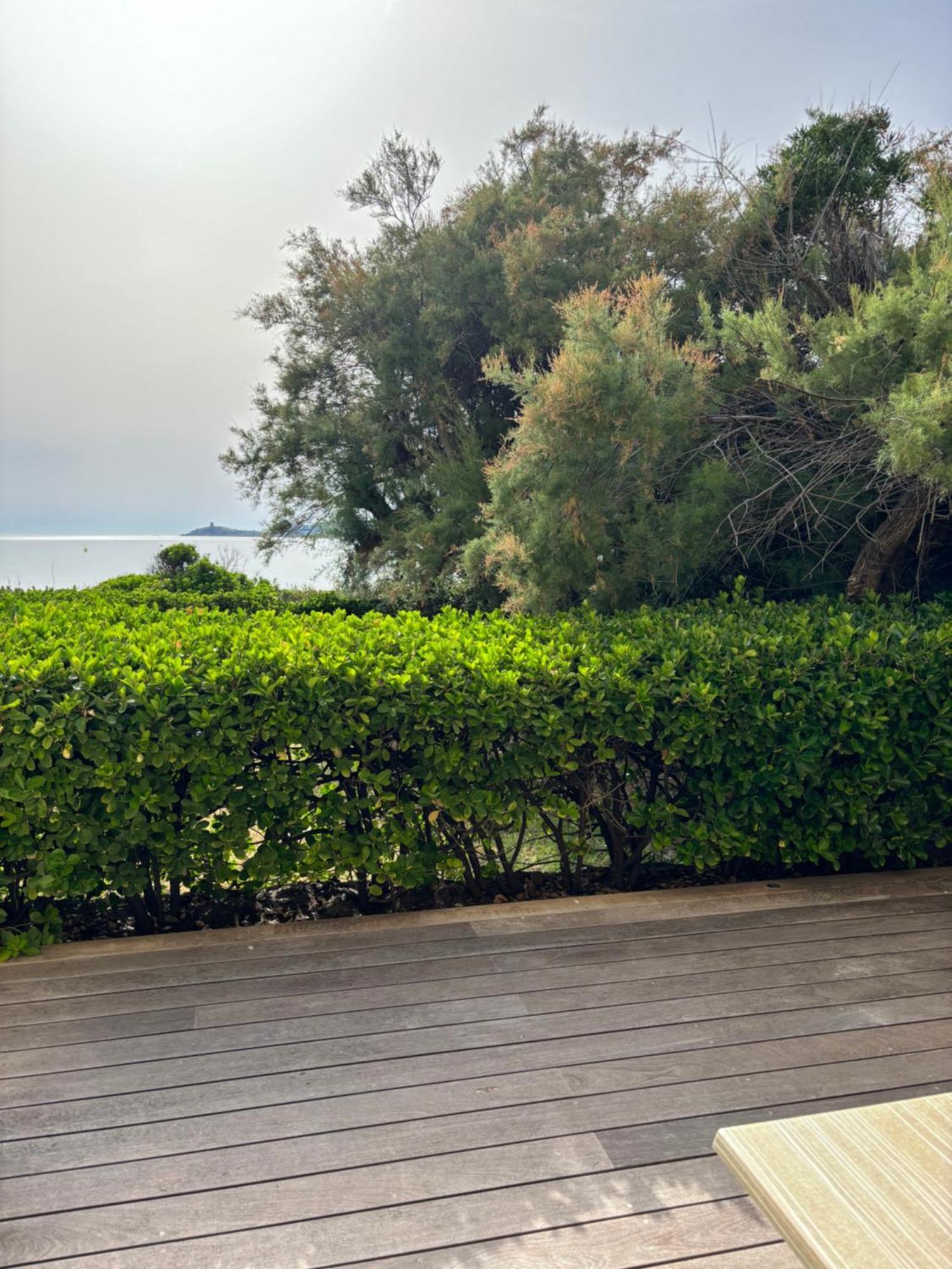 Cargèse Hotel Thalassa מראה חיצוני תמונה