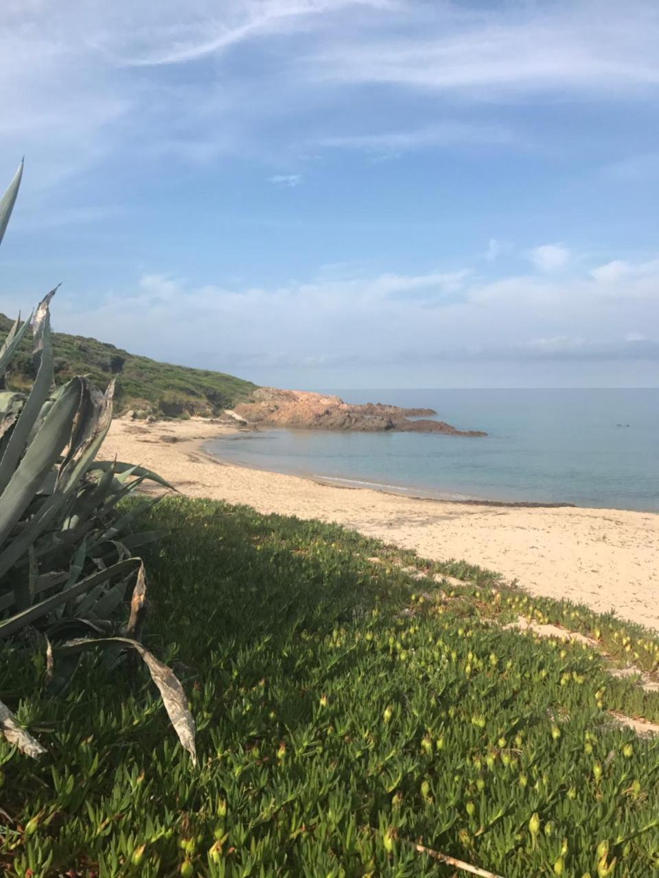 Cargèse Hotel Thalassa מראה חיצוני תמונה