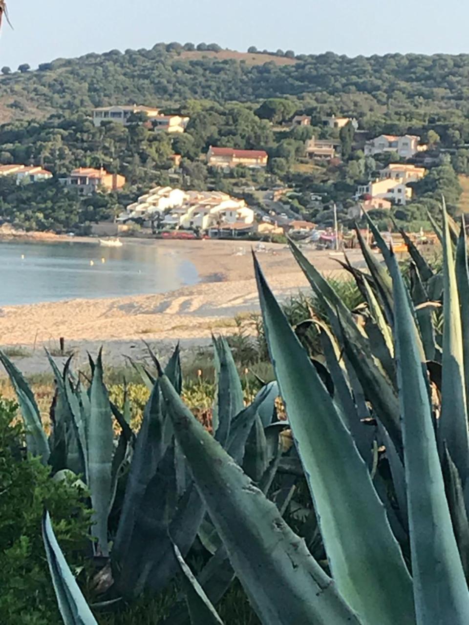 Cargèse Hotel Thalassa מראה חיצוני תמונה