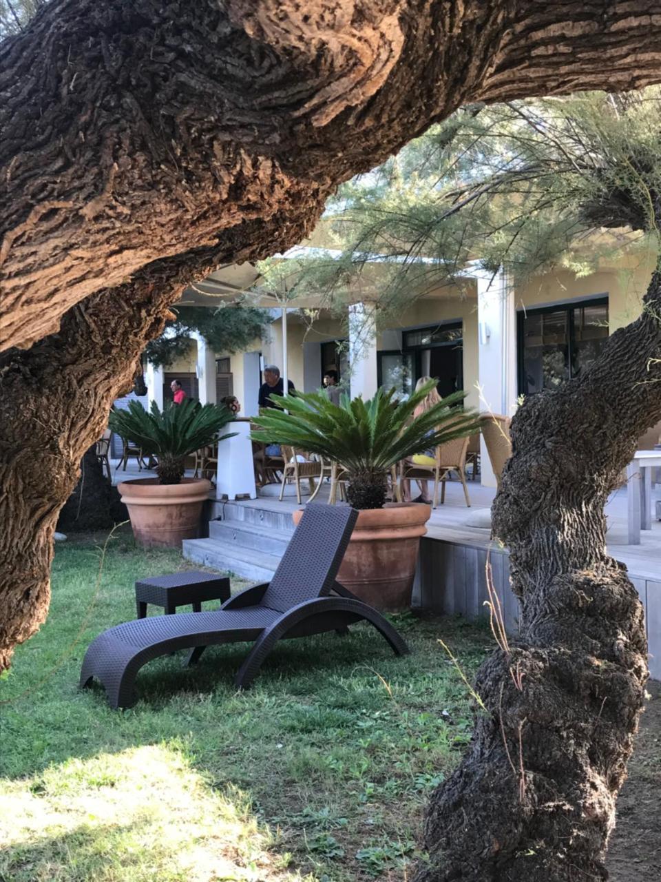 Cargèse Hotel Thalassa מראה חיצוני תמונה