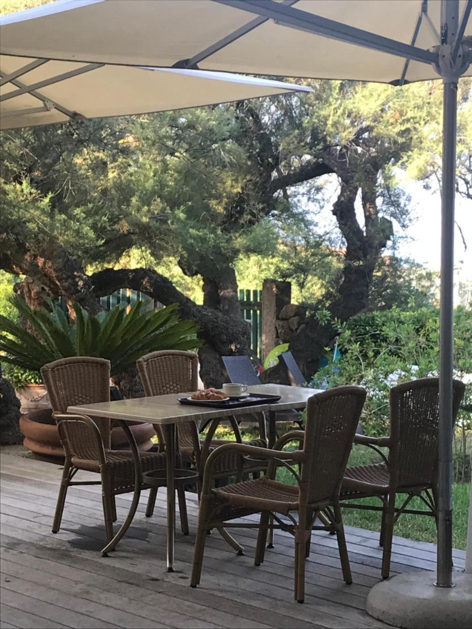 Cargèse Hotel Thalassa מראה חיצוני תמונה